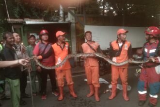 IMG 20250218 WA0126