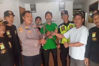 IMG 20250218 WA0274