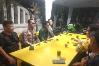 IMG 20250220 WA0113 1