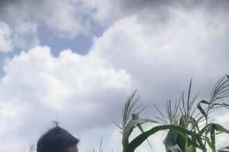 IMG 20250220 WA0225
