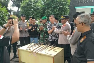 IMG 20250220 WA0268