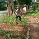 IMG 20250221 WA0019