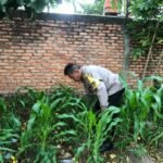 IMG 20250222 WA0134