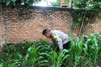 IMG 20250222 WA0134