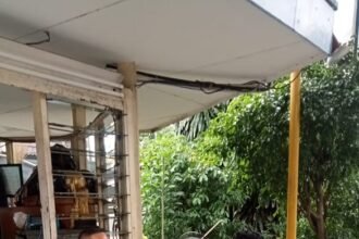 IMG 20250222 WA0224