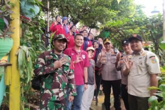 IMG 20250223 WA0040