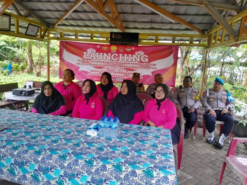 IMG 20250224 WA0221