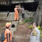IMG 20250225 WA0021