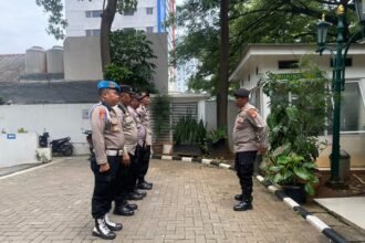 IMG 20250225 WA0264