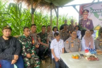 IMG 20250226 WA0189