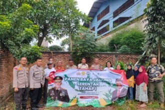 IMG 20250226 WA0259