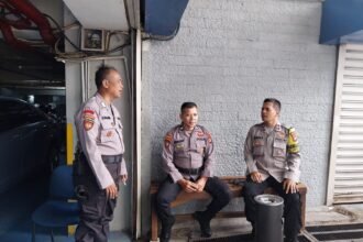 IMG 20250301 WA0179