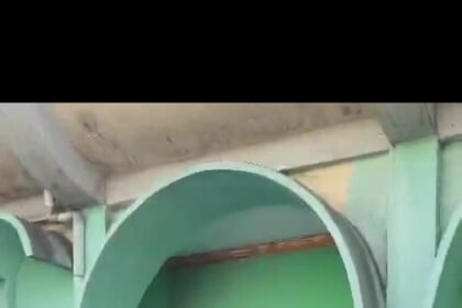IMG 20250301 WA0201