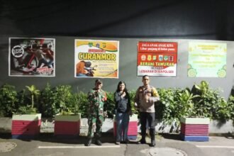 IMG 20250301 WA0293