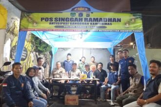 IMG 20250302 WA0139