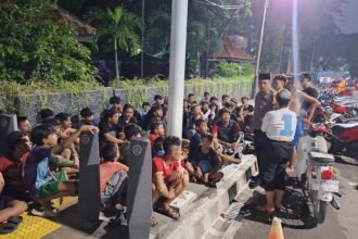 IMG 20250302 WA0195