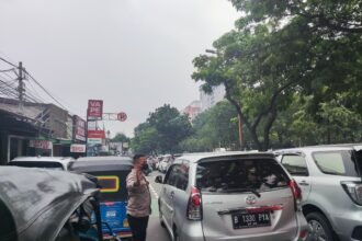 IMG 20250302 WA0218