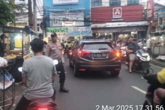 IMG 20250302 WA0238