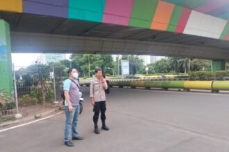 IMG 20250302 WA0252