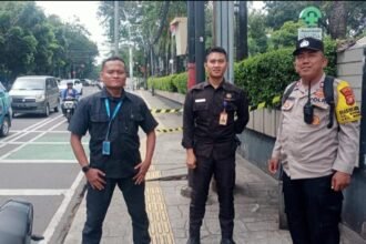 IMG 20250303 WA0040