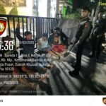 IMG 20250303 WA0101