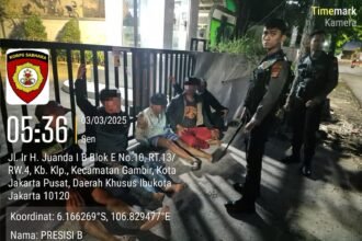 IMG 20250303 WA0101