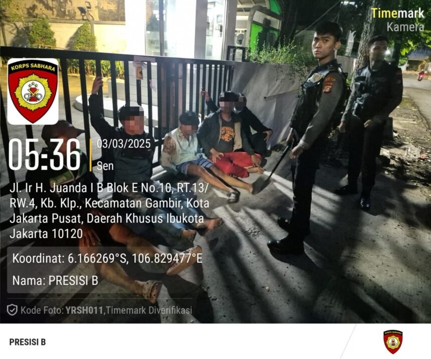 IMG 20250303 WA0101