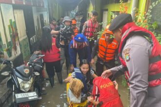 IMG 20250303 WA0168
