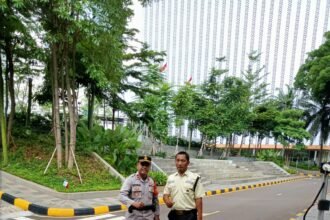 IMG 20250303 WA0187
