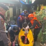 IMG 20250303 WA0219