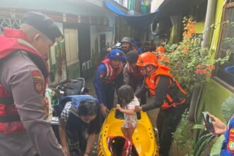 IMG 20250303 WA0219