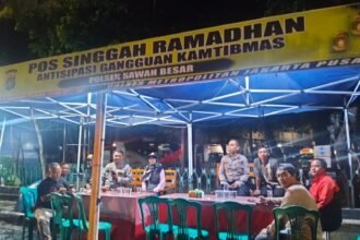 IMG 20250304 WA0028