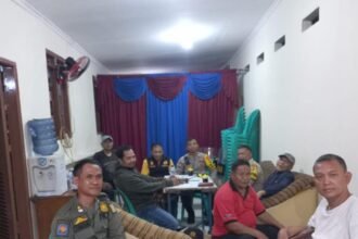 IMG 20250304 WA0228