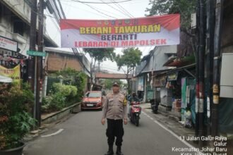 IMG 20250305 WA0042