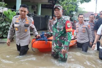 IMG 20250305 WA0145
