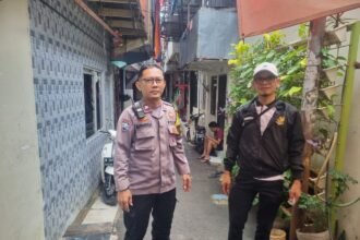 IMG 20250305 WA0208