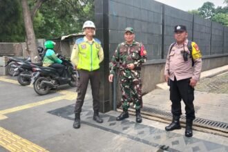 IMG 20250306 WA0134