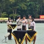 IMG 20250306 WA0301