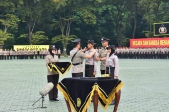 IMG 20250306 WA0301