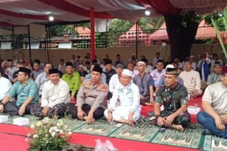 IMG 20250307 WA0356