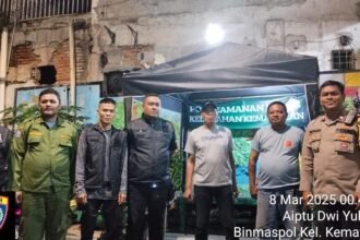 IMG 20250308 WA0048
