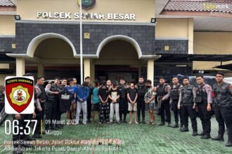 IMG 20250309 WA0035