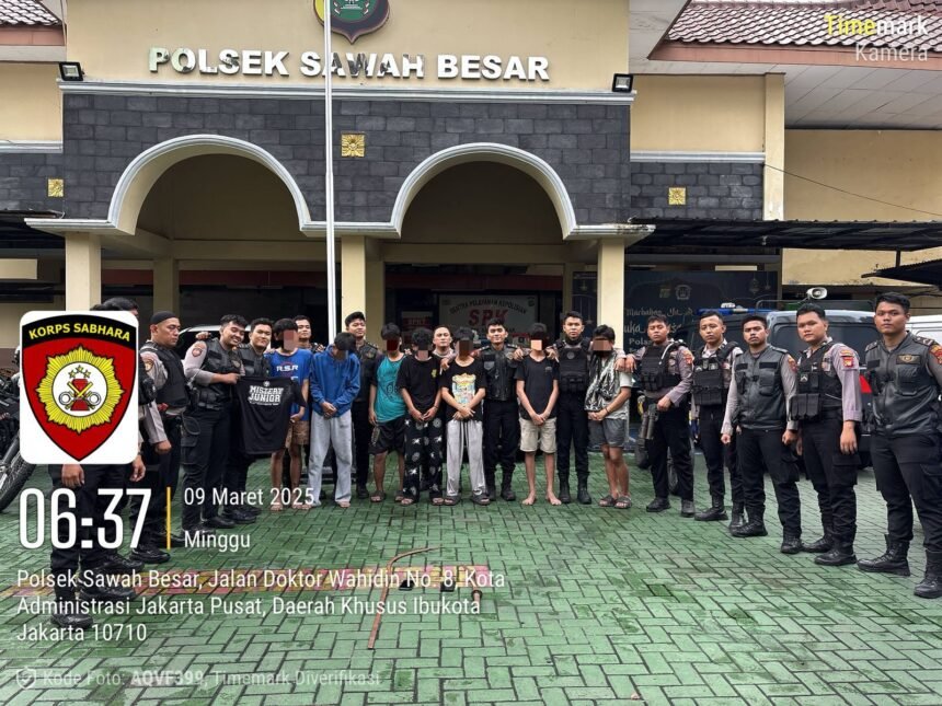 IMG 20250309 WA0035