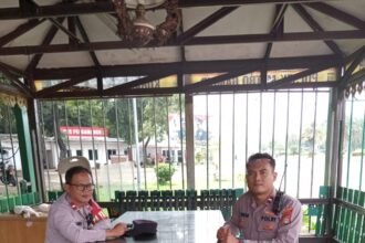 IMG 20250309 WA0227