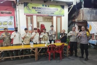 IMG 20250310 WA0100