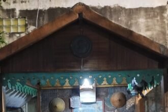 IMG 20250310 WA0102