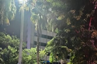 IMG 20250310 WA0118