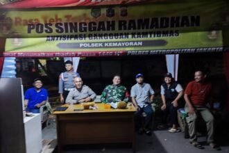 IMG 20250311 WA0041