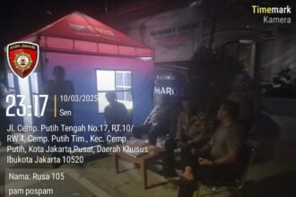 IMG 20250311 WA0110