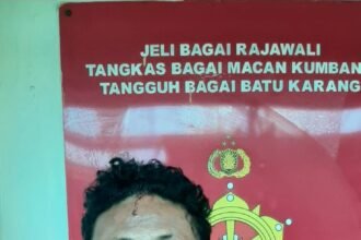 IMG 20250311 WA0227